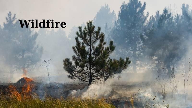 Những từ vựng về thảm hoạ thiên nhiên tiếng Anh cần nhớ. (Ảnh: Canva)