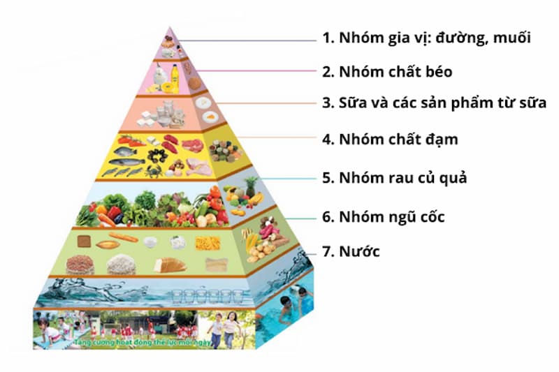 Tháp dinh dưỡng cho trẻ từ 1 đến 6 tuổi. (Ảnh: sưu tầm internet)