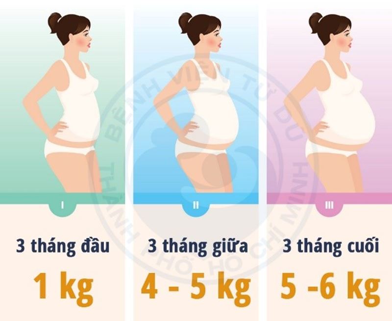 Tăng cân là biểu hiện thai nhi phát triển tốt. (Ảnh: Internet)