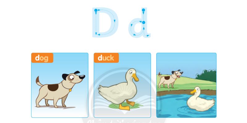 Cách đọc chữ "D" trong các từ tiếng Anh. (Ảnh: Chụp màn hình SGK)