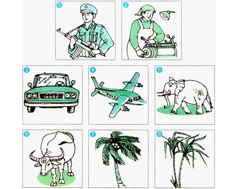 Trong tiếng Việt lớp 3 có nhiều dạng bài tập về từ chỉ người. (Ảnh: sưu tầm internet)