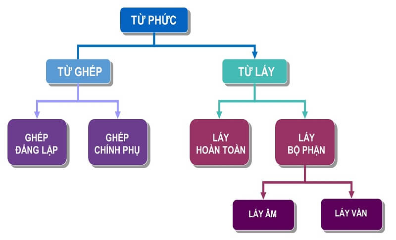 Từ Phức Có Mấy Loại: Khám Phá Các Loại Từ Phức Cơ Bản Và Ứng Dụng