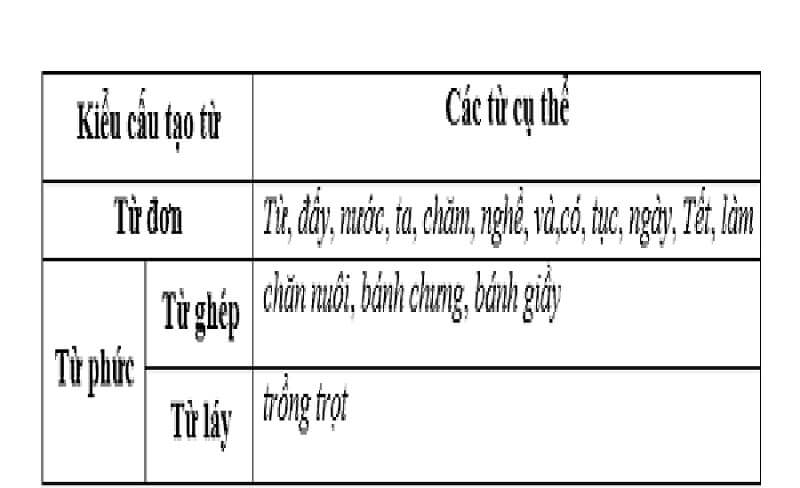 Thế nào là từ phức? Khám phá chi tiết về từ ghép và từ láy trong tiếng Việt