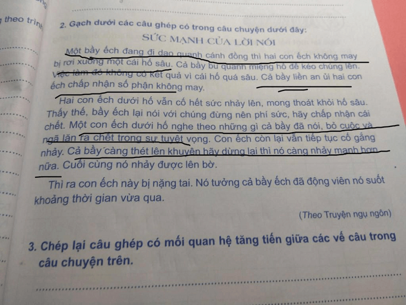 Việc sử dụng câu ghép sẽ giúp câu rõ nghĩa và xúc tích hơn. (Ảnh: Hoidap247)