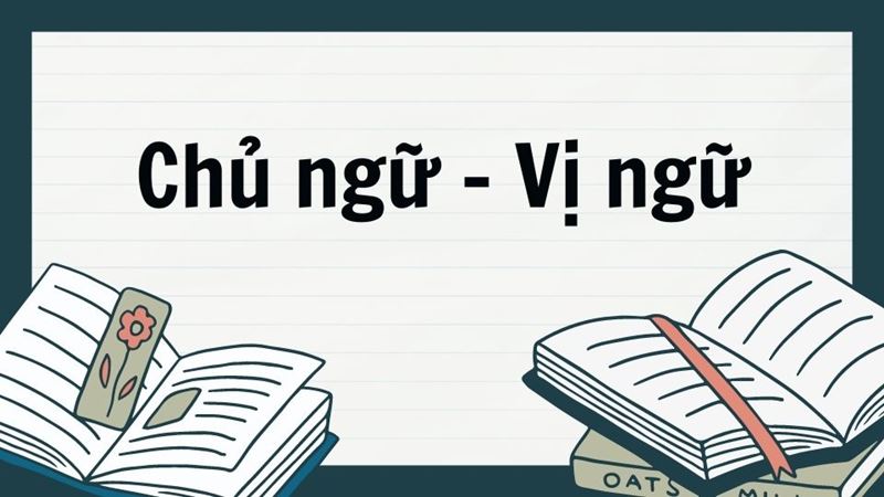 Tầm quan trọng của thành phần chủ - vị trong câu. (Ảnh: Canva)