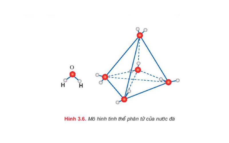 Mô hình tinh thể phân tử nước đá. (Ảnh: Chụp màn hình SGK Hóa học 10)