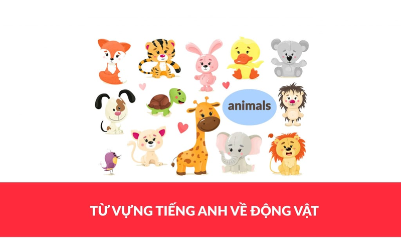 Khám phá nhóm từ vựng về động vật cực hấp dẫn cùng Monkey. (Ảnh: Internet)