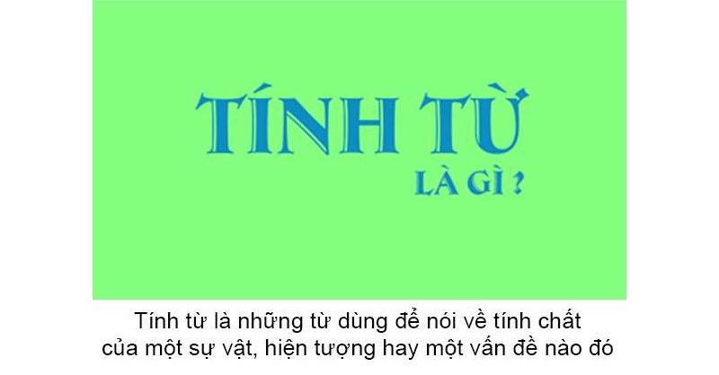 Tính từ và Cách Sử Dụng Trong Tiếng Việt Lớp 5