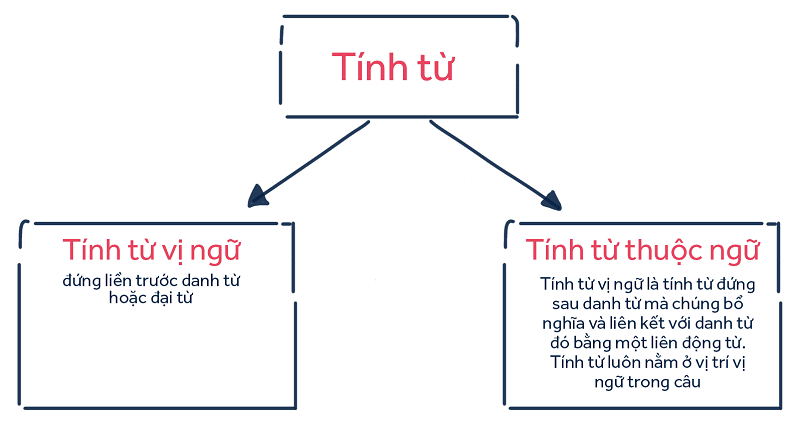 "Tính từ nghĩa là gì trong Tiếng Việt lớp 4": Khám phá bí mật ngôn ngữ!