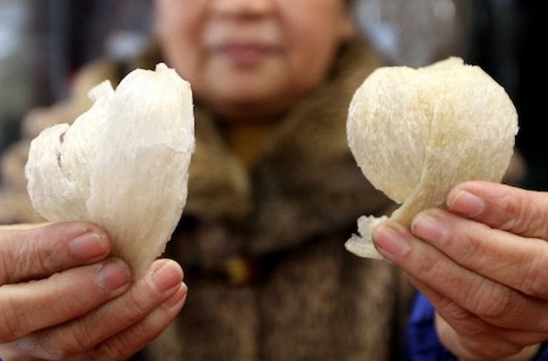 Yến sào thật, yến sào giả phân biệt thế nào? (Ảnh: Sưu tầm Internet)