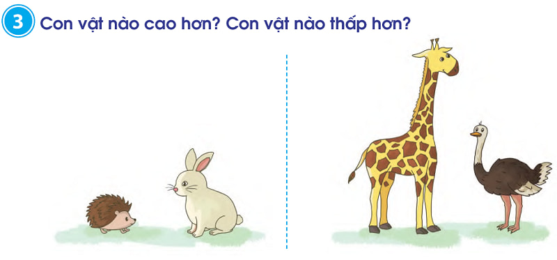 Bài tập số 3. (Ảnh: SGK Toán 1 - Sách Cánh Diều)