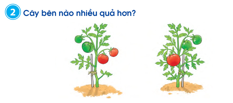 Bài tập số 2. (Ảnh: SGK Toán 1 Cánh Diều)