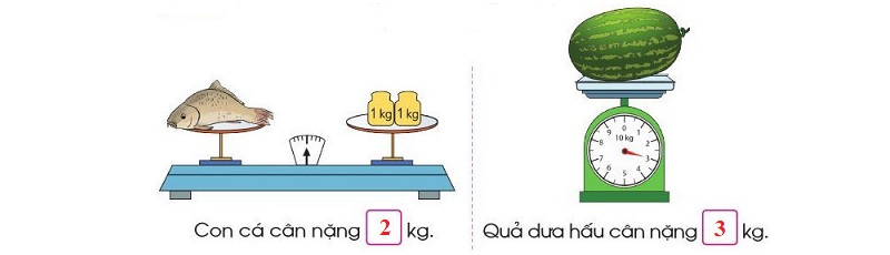Kiến thức toán lớp 2 về kg mang tính chất cơ bản. (Ảnh: Sưu tầm internet)