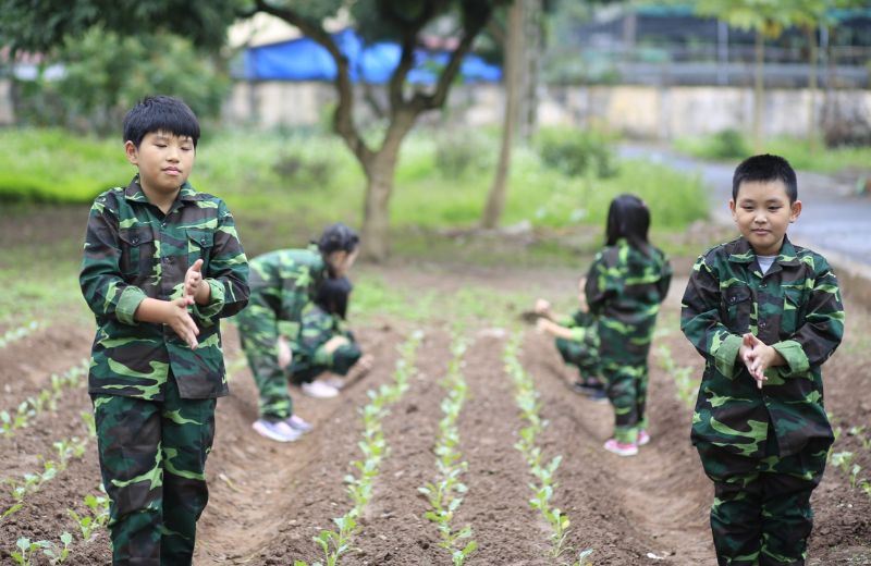 Có nhiều đơn vị tổ chức trại hè cho trẻ để ba mẹ tham khảo. (Ảnh: Sưu tầm Internet)