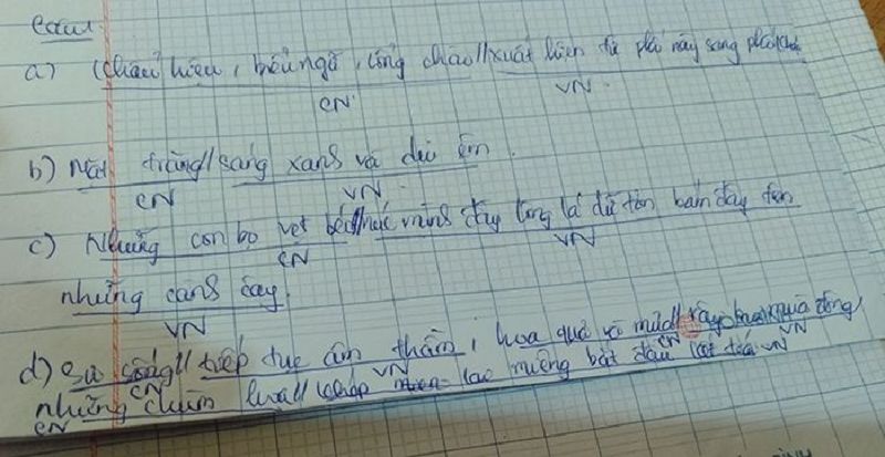 Luyện tập, thực hành nhiều sẽ giúp bé ghi nhớ kiến thức tốt hơn. (Ảnh: Lazi)