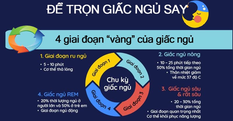 Chu kỳ sinh học giấc ngủ. (Ảnh: sưu tầm internet)