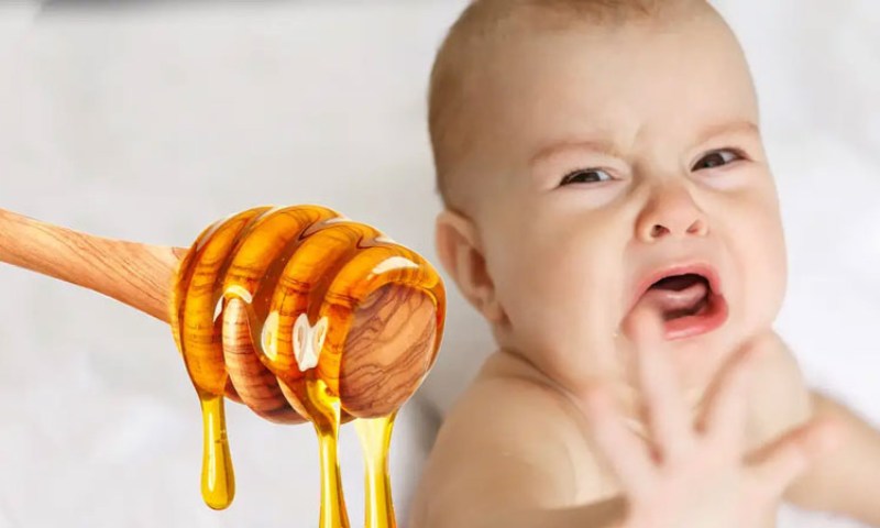 Không nên sử dụng mật ong chữa cảm cho trẻ sơ sinh 2 tháng tuổi (Nguồn: Sưu tầm internet)