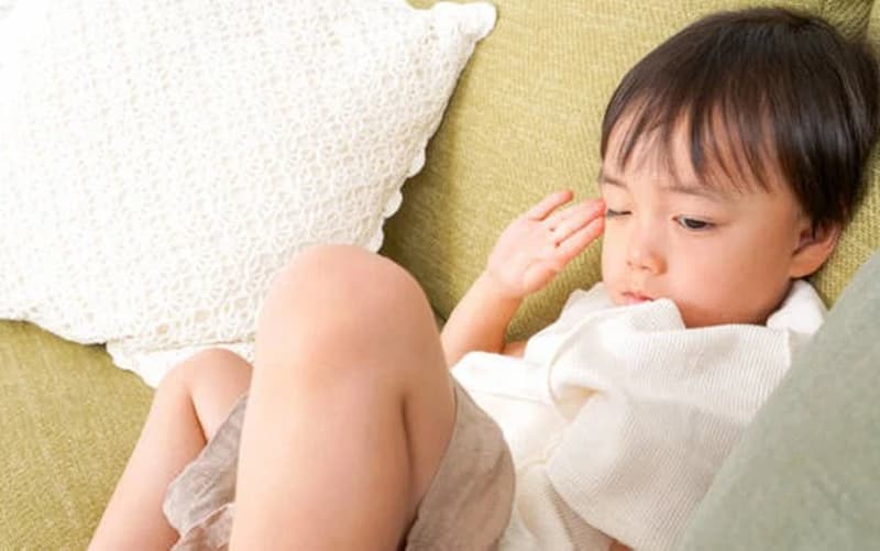 Hỗ trợ tốt cho quá trình trao đổi chất. (ảnh: sưu tầm internet)