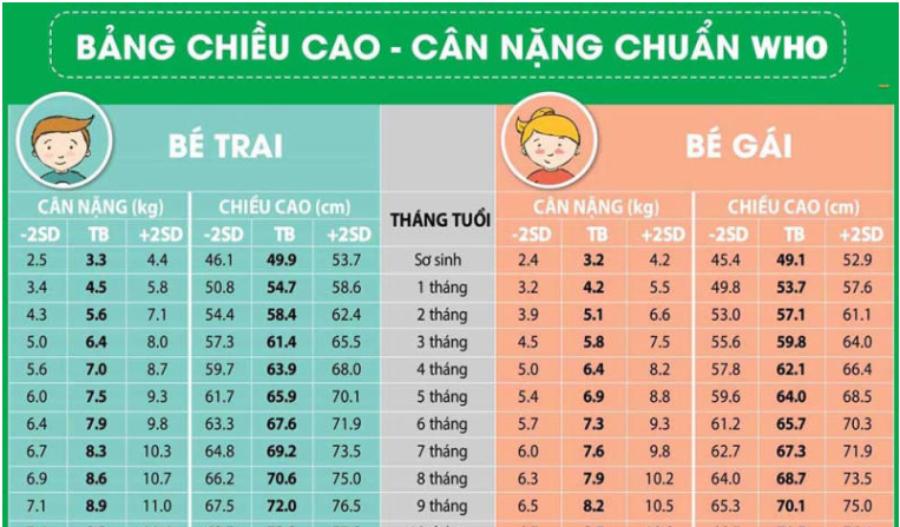 Bảng chiều cao cân nặng chuẩn theo WHO (Ảnh: Sưu tầm internet)