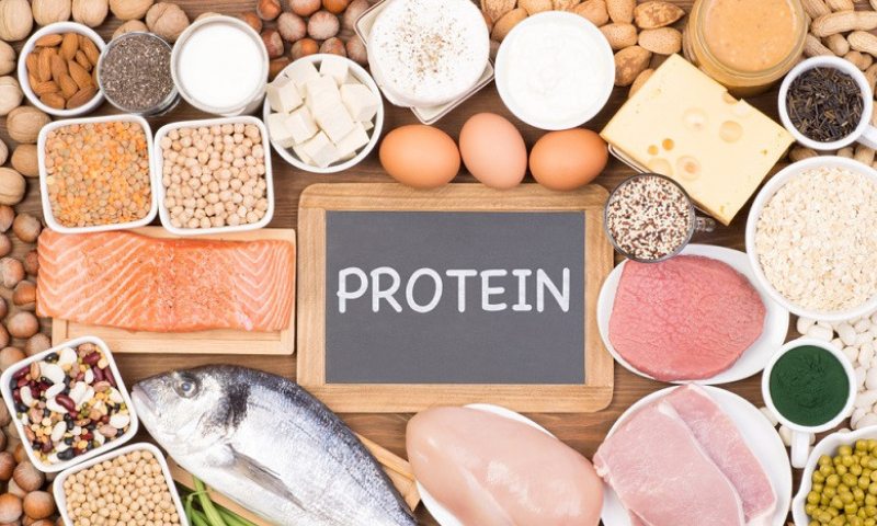Những thực phẩm chứa dồi dào protein giúp trẻ nhanh khỏi và bổ sung chất dinh dưỡng nhanh chóng (Nguồn: Sưu tầm Internet)