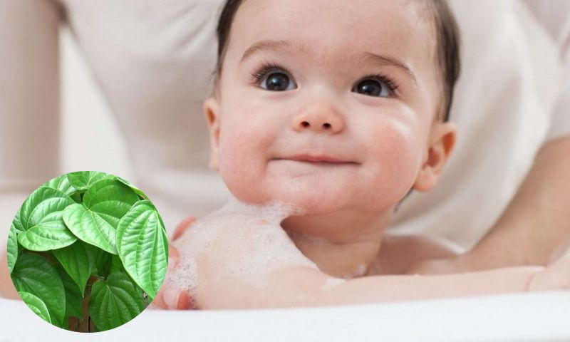 Trẻ bị cảm cúm tắm lá gì? (Ảnh: Nguồn Internet)