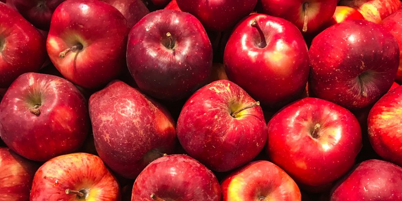 Cho bé ăn táo để giảm triệu chứng khó chịu ở bé khi bị ngộ độc (Ảnh: Sưu tầm internet)