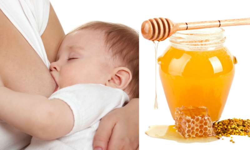 Không nên sử dụng mật ong cho trẻ dưới 6 tháng tuổi vào các bài thuốc trị cảm cúm (Nguồn: Sưu tầm Internet)