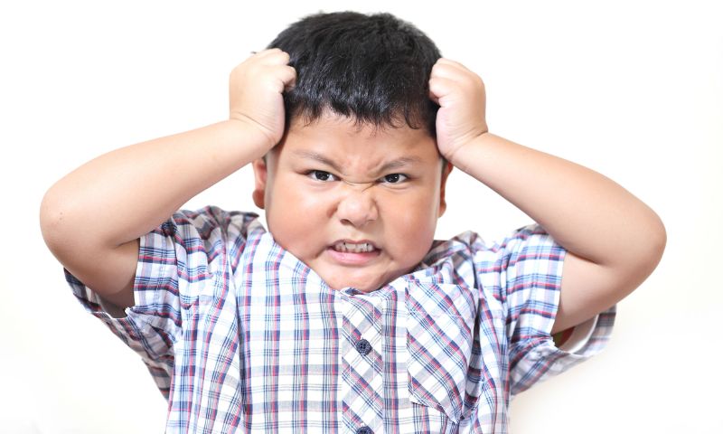 Trẻ nhỏ thường tức giận khi không vừa ý. (Ảnh: Nguồn Internet)