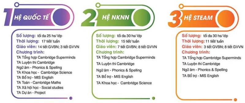 Chương trình tiếng Anh của 3 hệ Tiểu học. (Ảnh: https://misvn.edu.vn/)