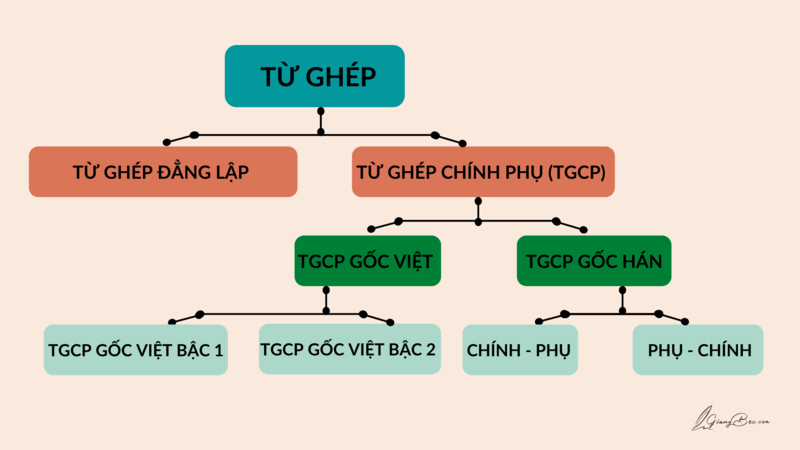 Trong từ ghép có nhiều dạng khác nhau. (Ảnh: Giangbec)