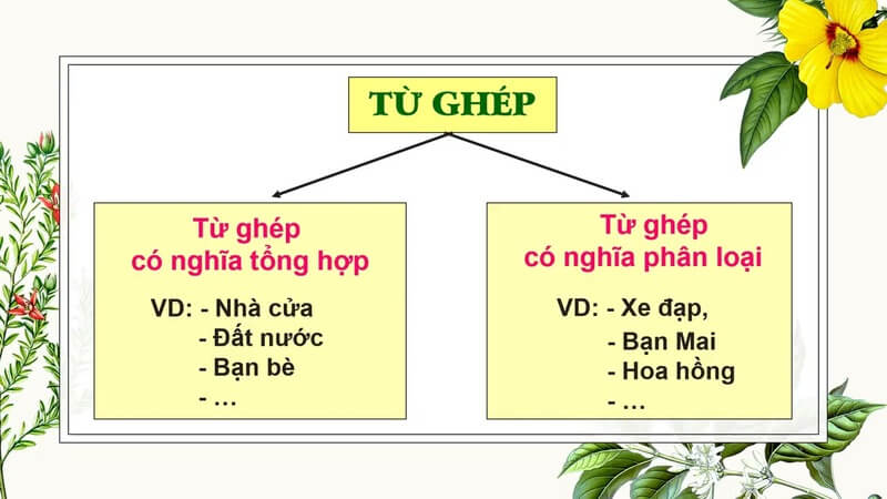 Từ ghép có dấu hiệu nhận biết đặc biệt. (Ảnh: Youtube)