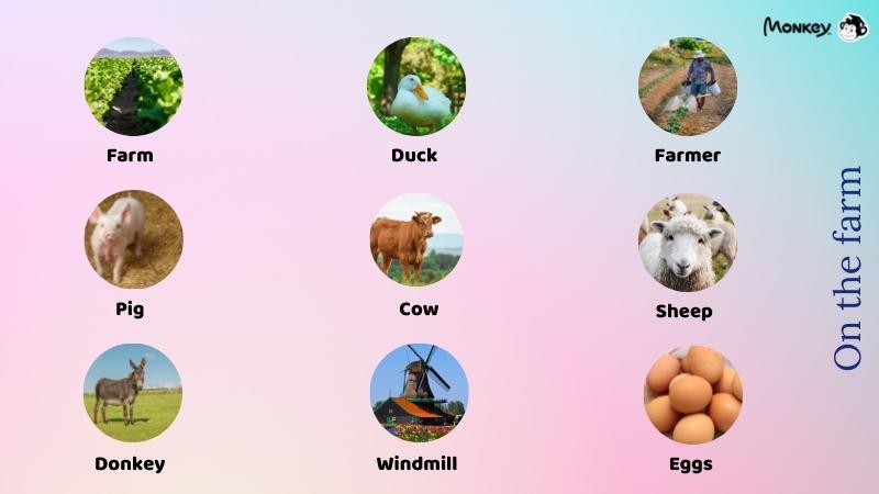 Từ vựng tiếng Anh lớp 2 chủ đề nông trại. (Ảnh: Tác giả)