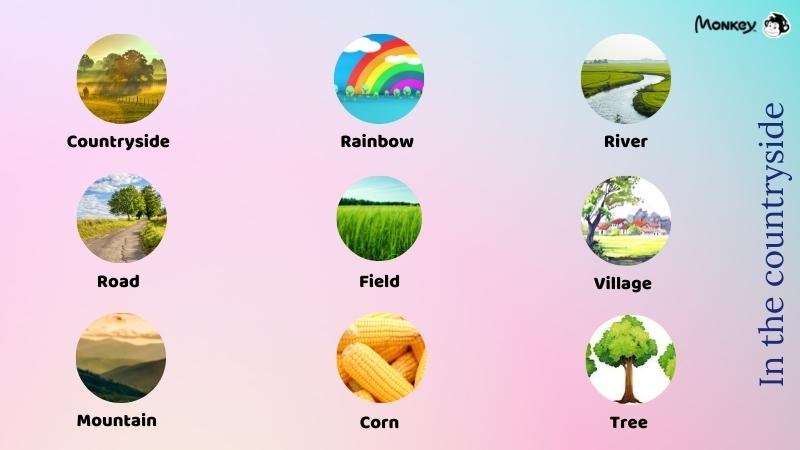 Từ vựng tiếng Anh lớp 2 chủ đề nông thôn. (Ảnh: Tác giả)