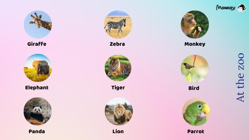 Từ vựng tiếng Anh lớp 2 chủ đề vườn bách thú. (Ảnh: Tác giả)