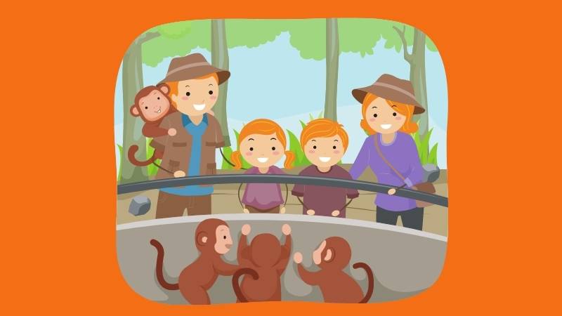 Từ vựng tiếng Anh lớp 4 chủ đề Where were you yesterday. (Ảnh: Canva)