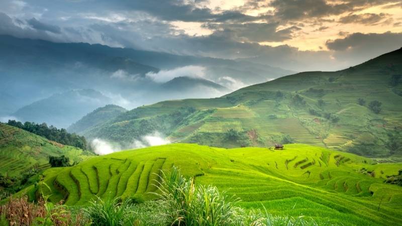 Từ vựng tiếng Anh mô tả cảnh quan thiên nhiên. (Ảnh: Canva)