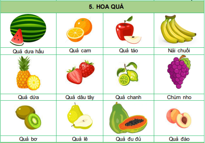 Học từ vựng theo từng chủ đề cụ thể. (Ảnh: ivina Edu)