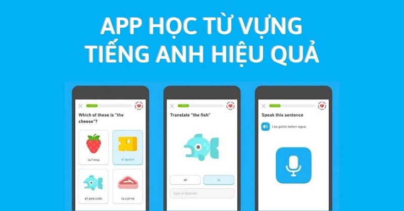 Việc học từ vựng qua app giúp ghi nhớ và tiếp thu hiệu quả hơn. (Ảnh: Sưu tầm internet)