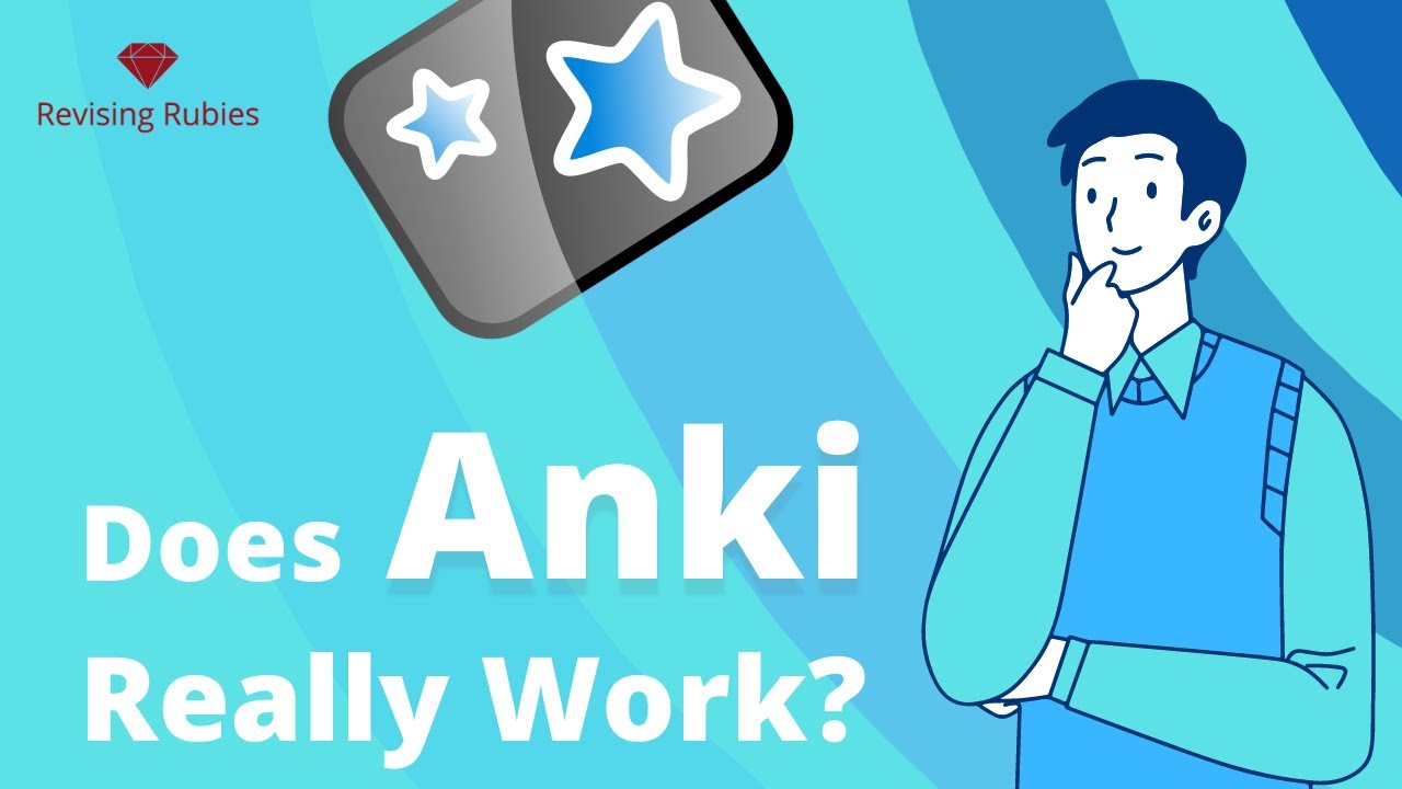 Anki là ứng dụng học từ vựng có tính năng offline cực kỳ tiện lợi. (Ảnh: Sưu tầm Internet)