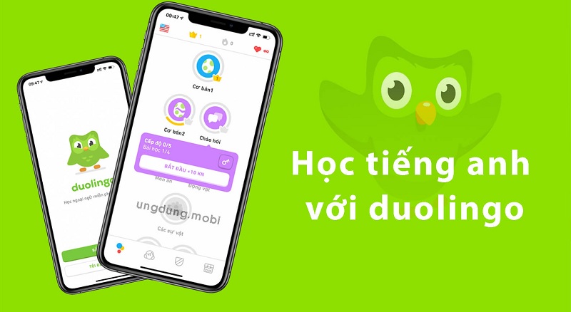Học tiếng Anh qua ứng dụng trả phí
