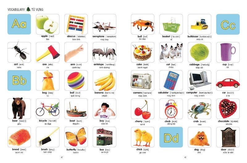 Học từ vựng tiếng Anh hiệu quả cùng My First Words trên ipad. (Ảnh: Sưu tầm internet)