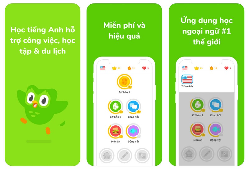 Học từ vựng tiếng Anh thú vị cùng với app Duolingo. (Ảnh: Sưu tầm internet)