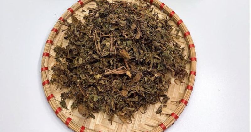 Hướng dẫn cách nấu nước lá đinh lăng trị mất sữa sau sinh (Ảnh: Sưu tầm Internet)