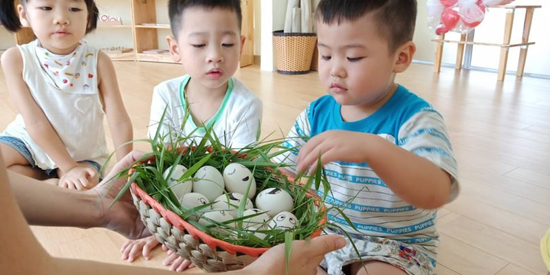 Hoạt động tiếp thu kiến thức tại nhà. (Ảnh: Sưu tầm Internet)