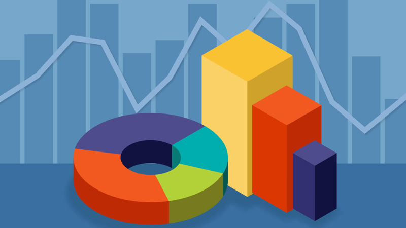 Sử dụng biểu đồ cột hoặc biểu đồ tròn. (Ảnh: Sưu tầm internet)