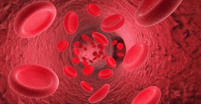 Vitamin B12 kích thích sản xuất hồng cầu, ngừa thiếu máu. (Ảnh: Sưu tầm Internet)