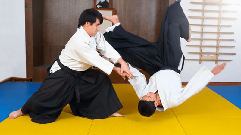 Võ Aikido là gì? (Ảnh: Internet)