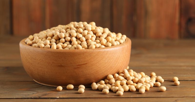 Ăn thực phẩm giàu estrogen giúp "cô bé" khỏe mạnh (Ảnh: Sưu tầm Internet)