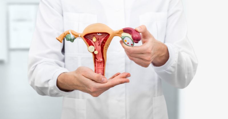 Một số cách phòng tránh mùi ở vùng kín (Ảnh: Sưu tầm Internet)