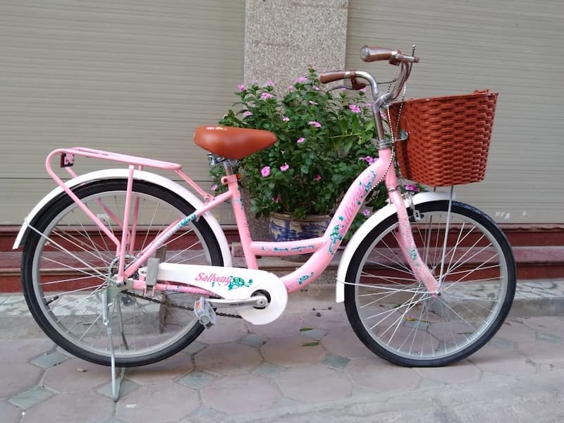 Tập xe đạp giúp bé phát triển toàn diện hơn. (Ảnh: sưu tầm internet)